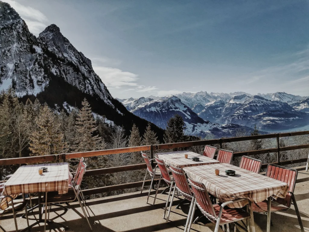 Restaurants and gastronomy