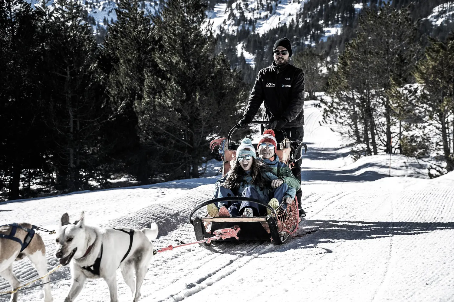 Mushing en Andorra: cómo preparar la experiencia
