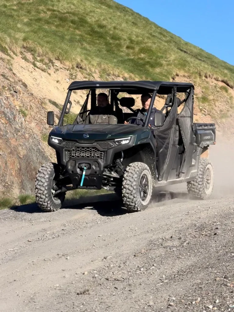 Pirot Buggy Action