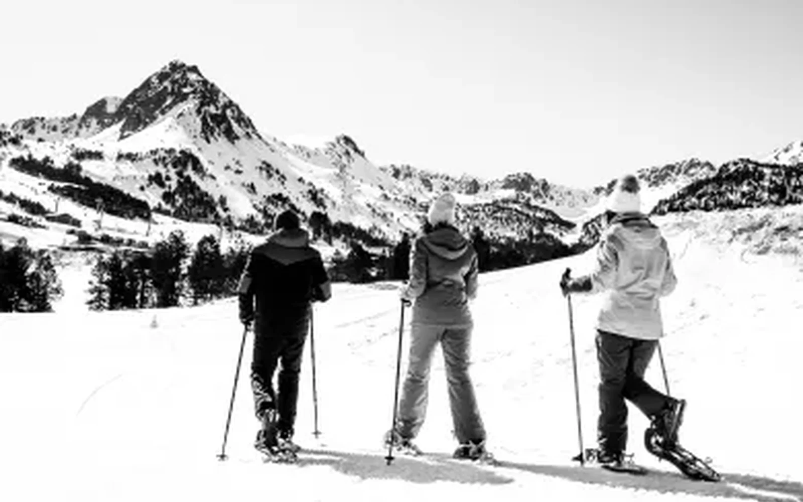 Entrega y recogida en toda Andorra.