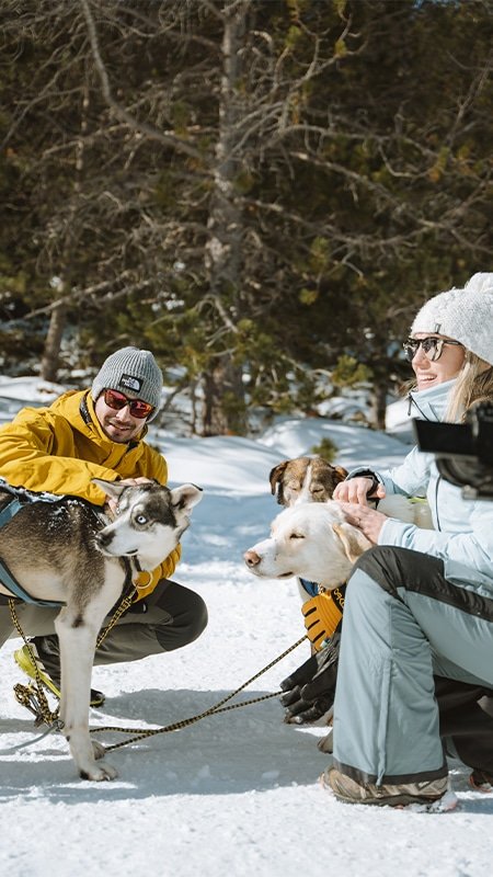 Mushing 03