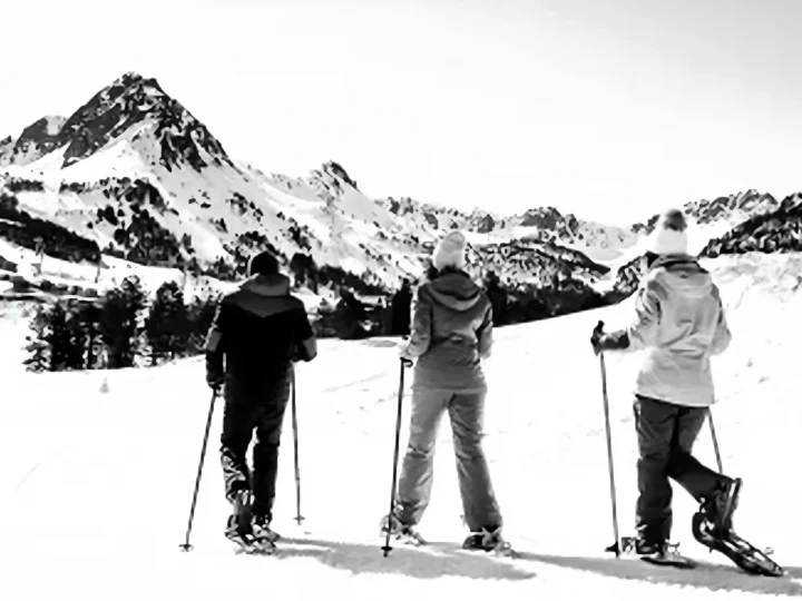 Raquetas de nieve