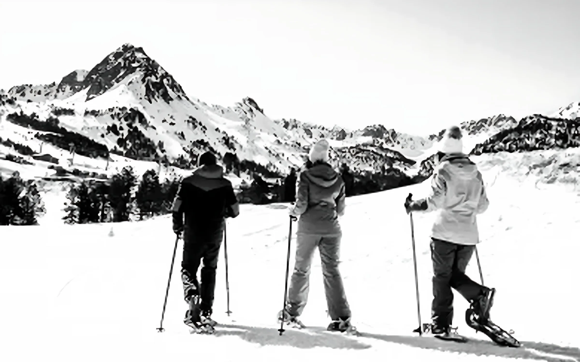 Raquetas de nieve