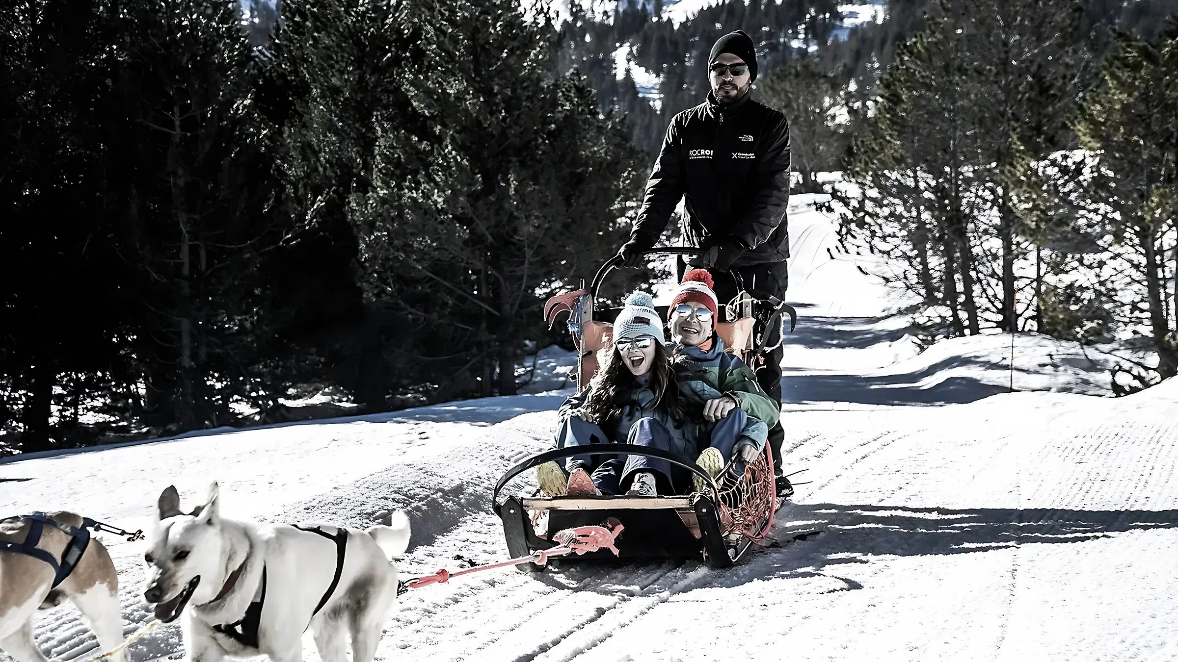 Mushing en Grau Roig